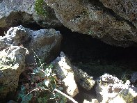 otte Scorciavacca20110306 084